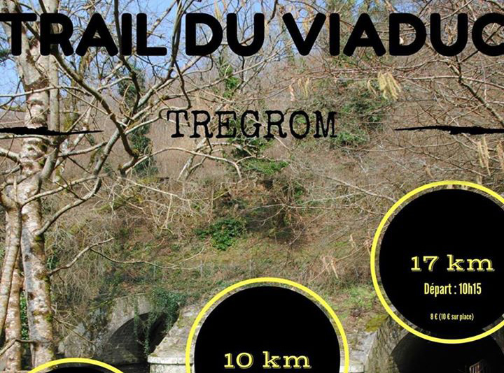03_04 : Trail du Viaduc - Trégrom (22) le dimanche 04 mars 2018 Tregro10
