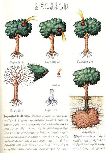 Des images en passant - Page 13 Codex_10