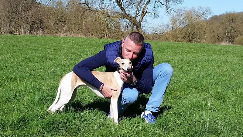 NYCE WHIPPET 9 MOIS SABLE A PANACHURE Adopté 30227110