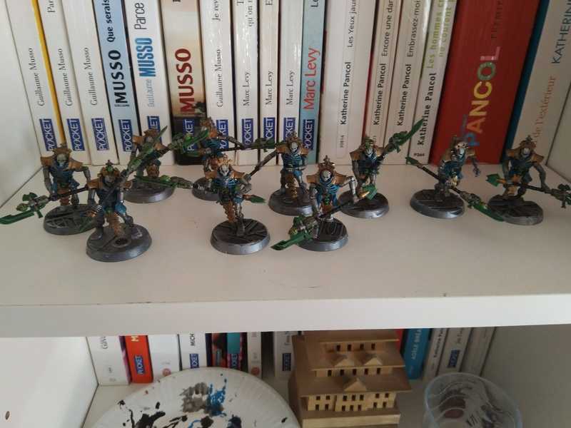 [FINI][samegave/Necrons] 10 Lychguards fauchards (300 points) Img_2021