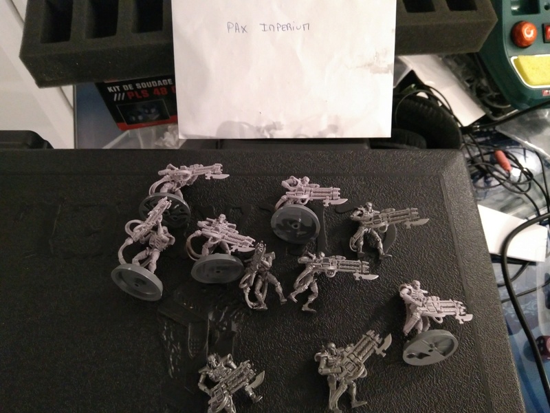 [FINI] [Samegave/Necrons] 10 immortels Gauss (170 points) Img_2101