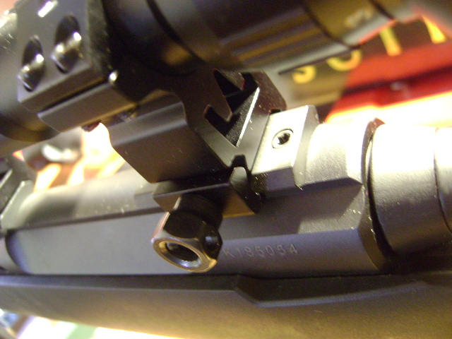 Savage Axis Canon Lourd calibre 308, présentation navarre Dsc08117
