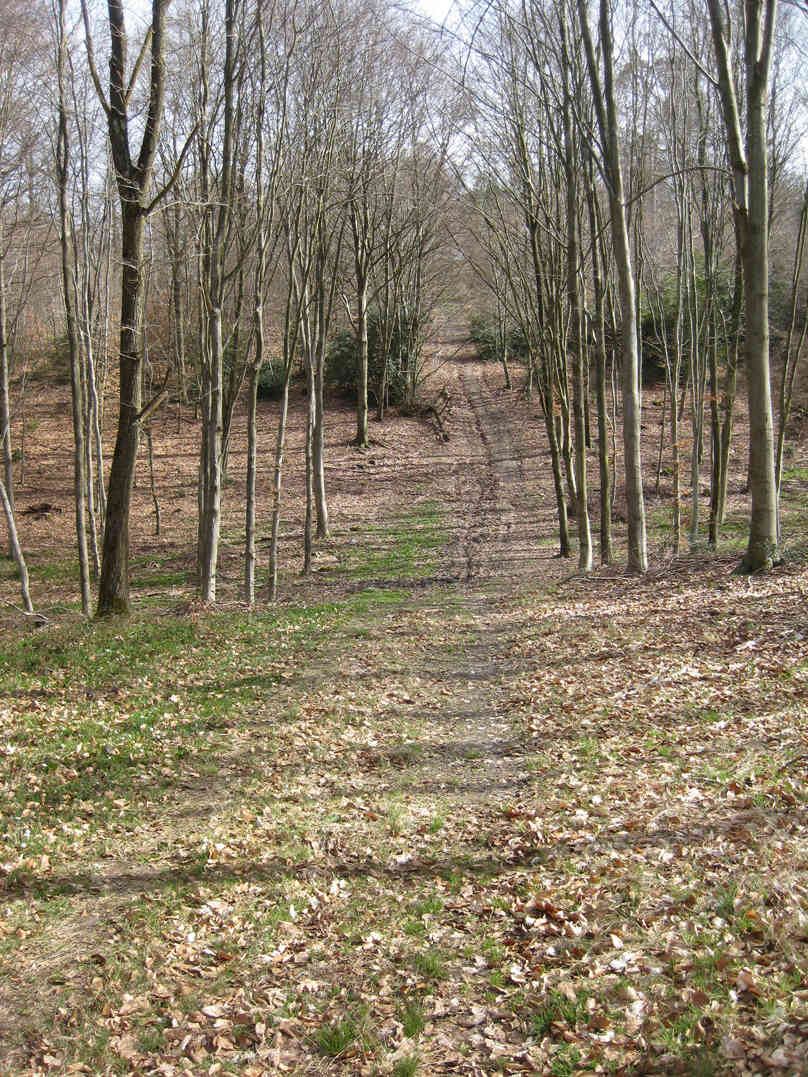 Sortie dans l'Oise forêt de Retz 3-chem10