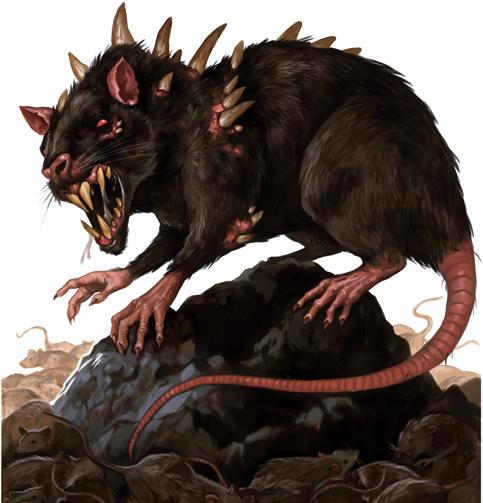 Chasse de Giganto 014 : Rat Géant [Vaincu] 5ddb0e10