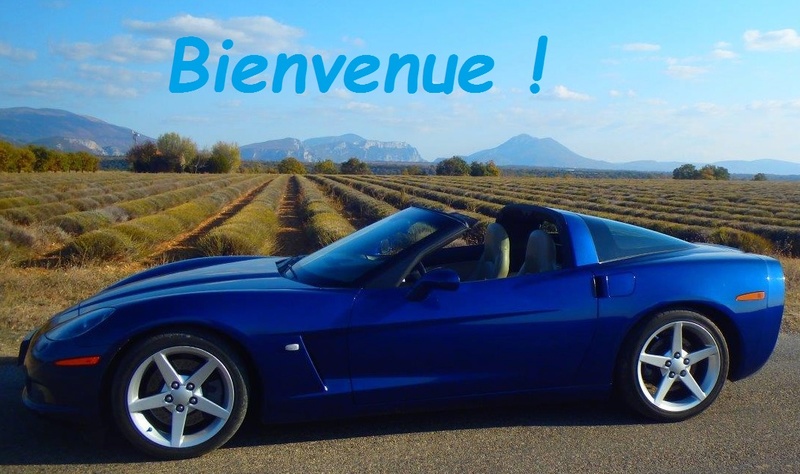 Bien le bonjour de Fabrice et sa Corvette C3 ! - Page 2 Pa310r12