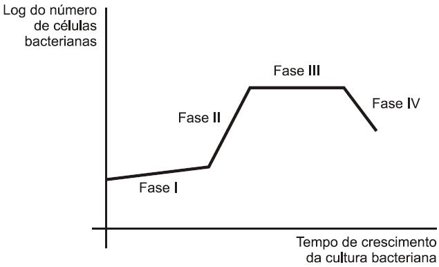 Eficiência do Antibiótico Bact10