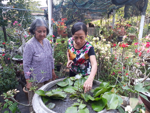 Mùng 10 tết Mậu Tuất thăm cô Mai 20180228