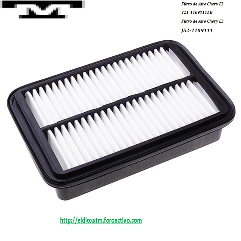 Servicios: Filtros para CHERY E3 Filtro13