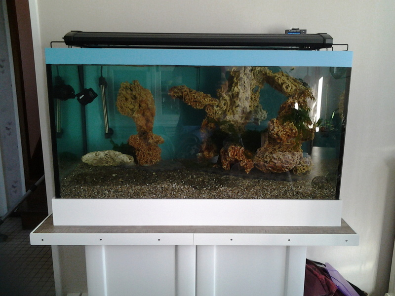projet Jaubert de 300 litres brut 15080512