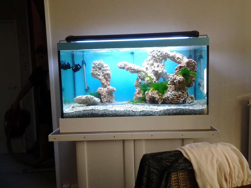 projet Jaubert de 300 litres brut 15080513