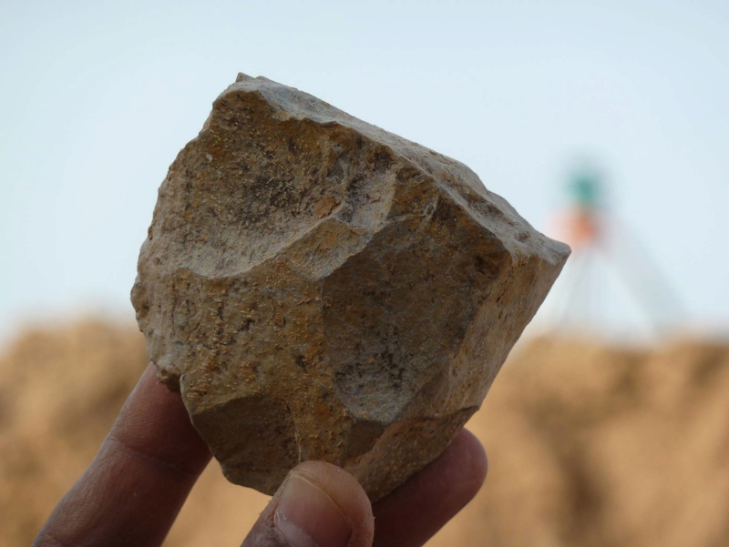 Halladas en Argelia herramientas de la primera cultura humana de hace 2,4 millones de años. [Historia] 15434910