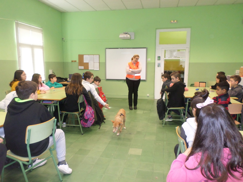 Charla en CEIP Sada y Contornos el 05 de abril Sam_3211