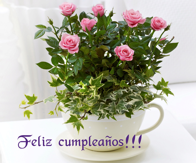 Feliz cumpleaños, CristinaSasha!!! 38882410