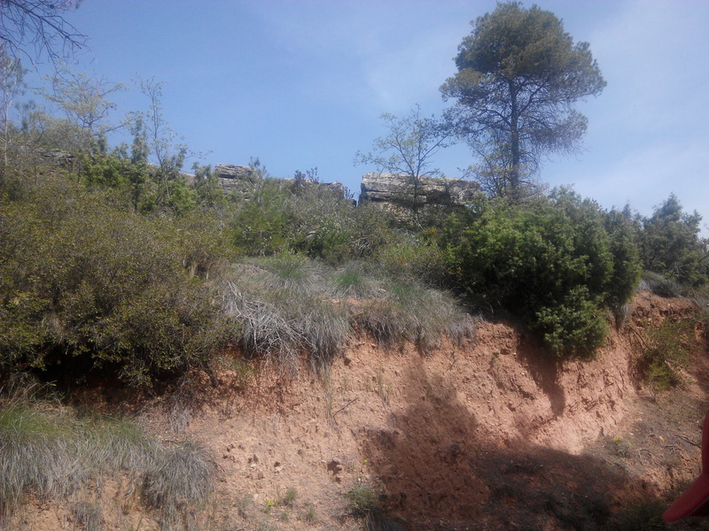 perello - Excursió geològica amb el professor Mata Perelló 515