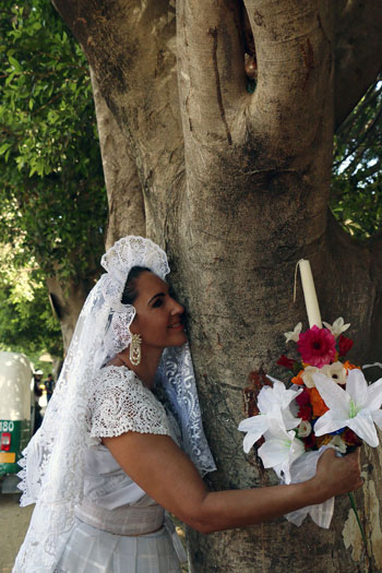 "طقوس غريبة فى المكسيك".. انطلاق حفل "الزواج من شجرة" 63691-10