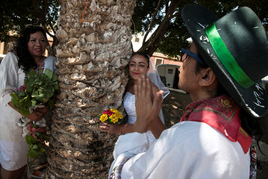 "طقوس غريبة فى المكسيك".. انطلاق حفل "الزواج من شجرة" 69389-10