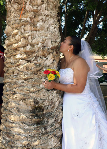 "طقوس غريبة فى المكسيك".. انطلاق حفل "الزواج من شجرة" 70080-10