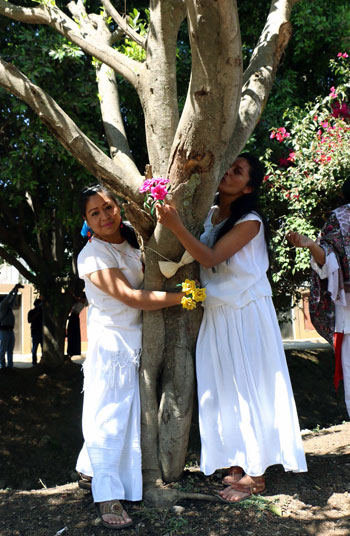 "طقوس غريبة فى المكسيك".. انطلاق حفل "الزواج من شجرة" 73381-10