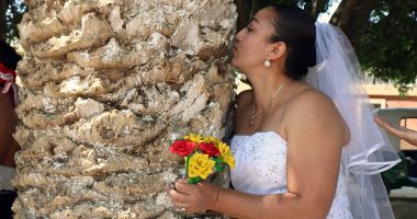 "طقوس غريبة فى المكسيك".. انطلاق حفل "الزواج من شجرة" Wildon19