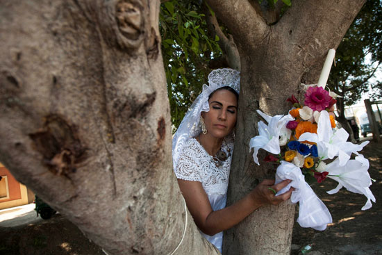 "طقوس غريبة فى المكسيك".. انطلاق حفل "الزواج من شجرة" Wildon20