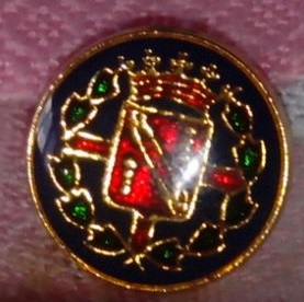emblema o insignia 128