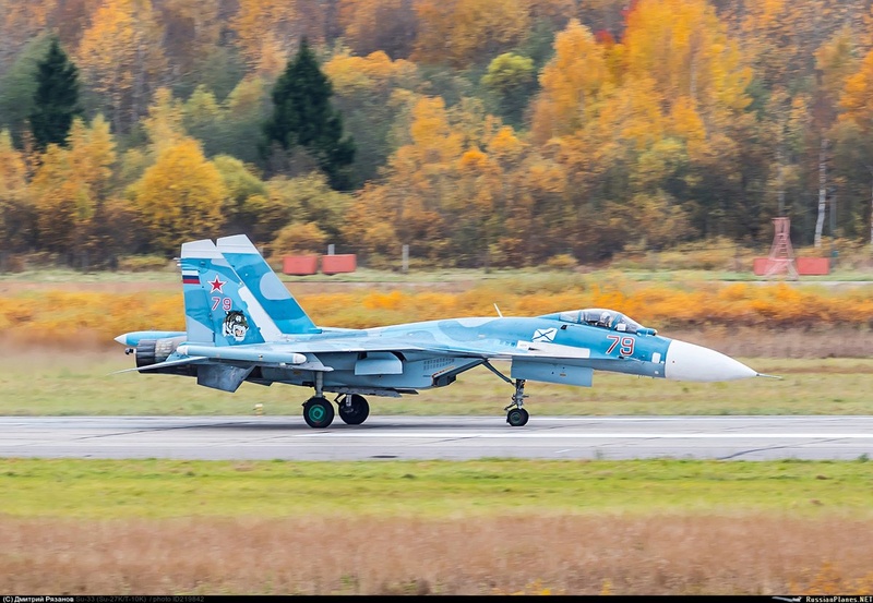 Su-33, Kinetic 1/48 - Σελίδα 2 Dmqqws10