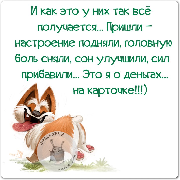 https://i.servimg.com/u/f62/19/62/41/34/0bea5410.jpg