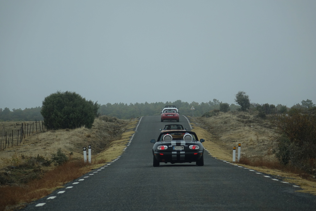 4 Noviembre, ruta otoñal por Ávila - Página 4 Dsc08521