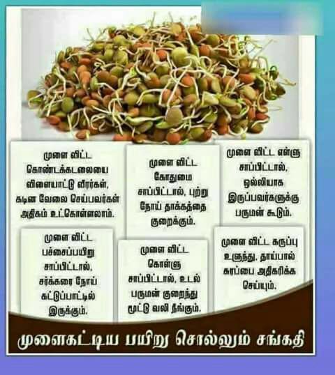 முளை கட்டிய பயறு சொல்லும் சங்கதி 44a45d10