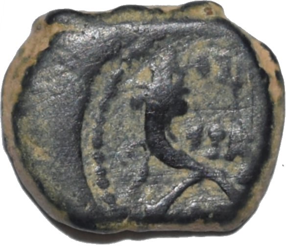 AE23 de Malichos II. Petra 317a10