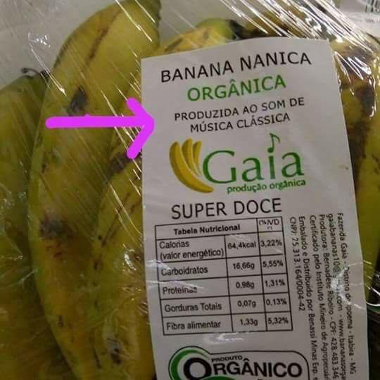 Melhor que agricultura biologica :-) Banana10