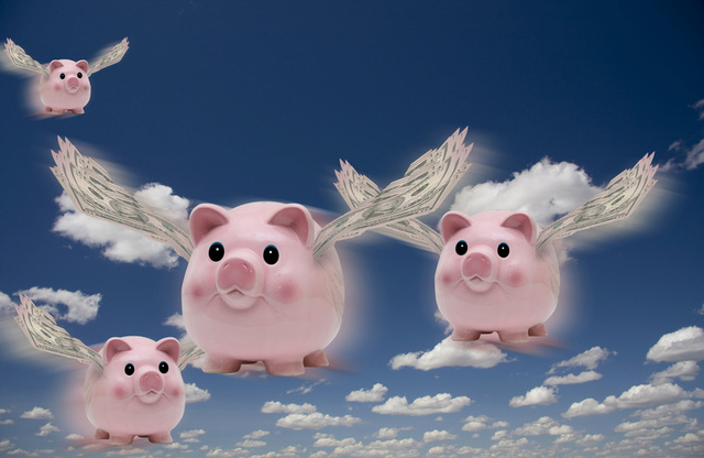 https://i.servimg.com/u/f62/19/63/08/26/pigs-f10.jpg