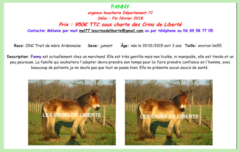 (Dept 71) 3 ans - FANNY - ONC trait Ardennaise - réservé par la famille Maphina (2018) Fiche_44