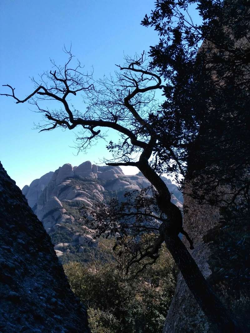  - Topic:Deportes de Montaña..Escalada, Senderismo,Barranquismo....... - Página 12 Img-2014