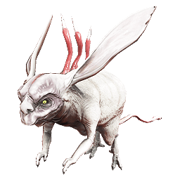 Las bestias del Santuario: actualización 22.20.0 Kuaka_10