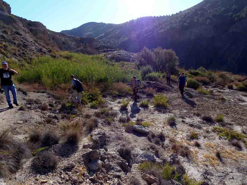 Excursión a las minas del Cerro de la Mula (MINA A UNA, OTRA) en Alboloduy (Almería) 00810