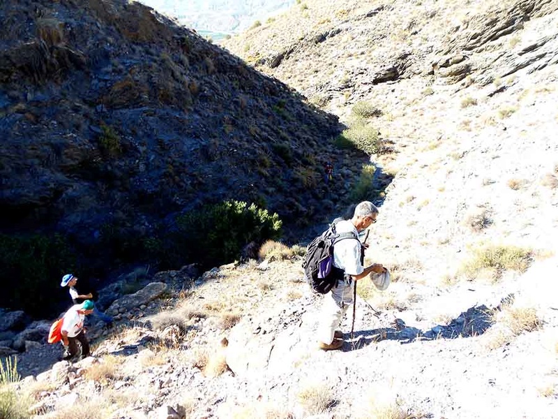 Excursión a las minas del Cerro de la Mula (MINA A UNA, OTRA) en Alboloduy (Almería) 01710