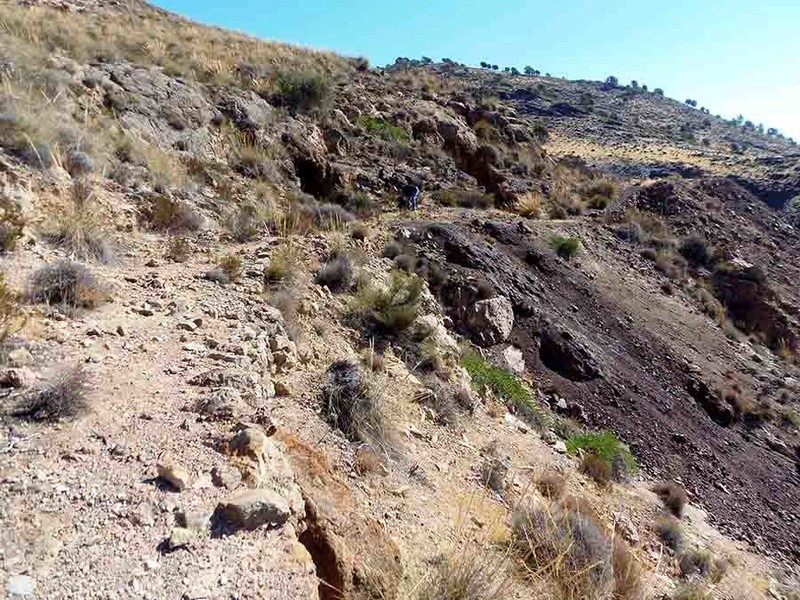 Excursión a las minas del Cerro de la Mula (MINA A UNA, OTRA) en Alboloduy (Almería) 02410