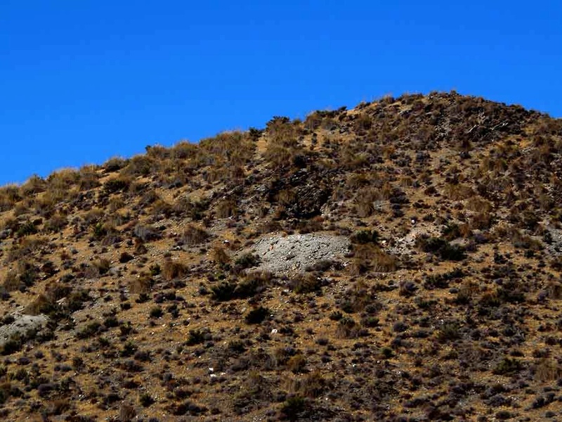 Excursión a las minas del Cerro de la Mula (MINA A UNA, OTRA) en Alboloduy (Almería) Cerro_11