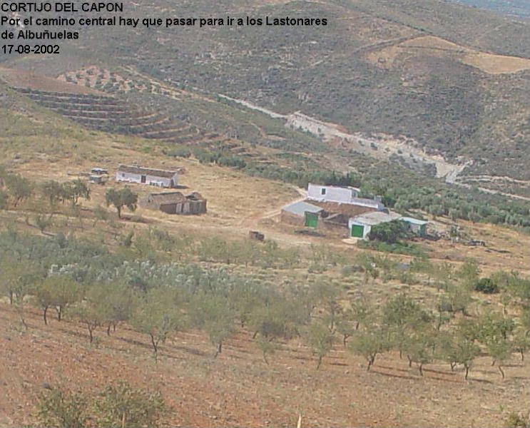 MINAS DEL CORTIJO DE LOS LASTONARES, ALBUÑUELAS (GRANADA) Elcapo10