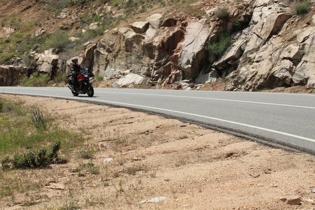 Escursión por la sierra de Madrid. Cebrer13
