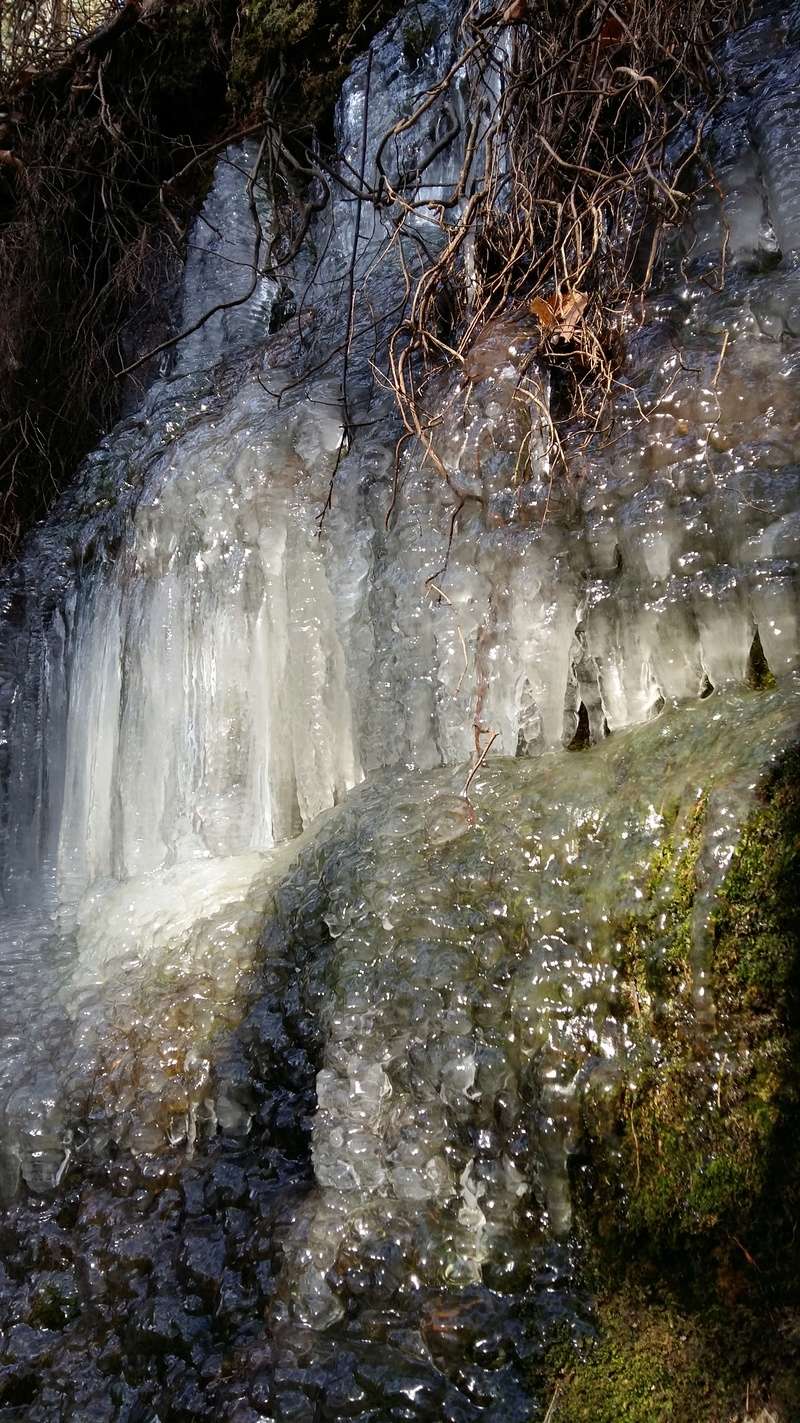 OBERSTEINBACH: Rochers et stalactites mercredi 28.02.2018 20180213