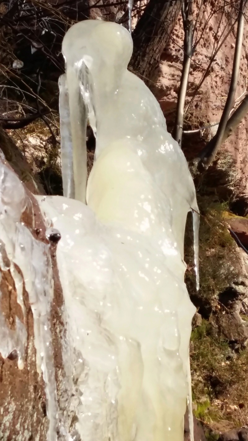 OBERSTEINBACH: Rochers et stalactites mercredi 28.02.2018 20180215