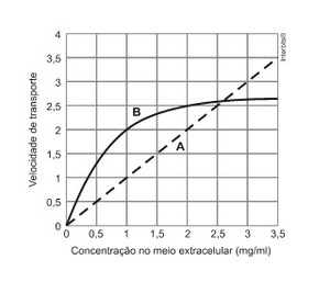 (UNICAMP 2012) Transporte Questa10