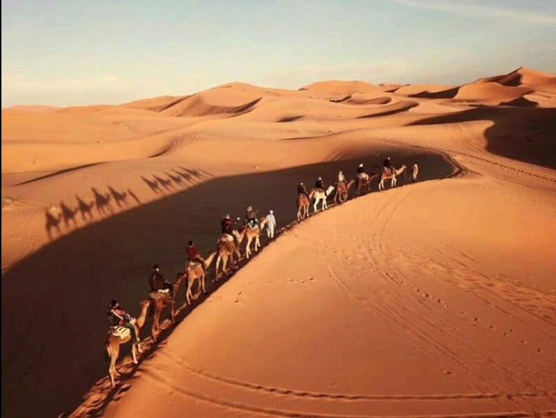 Le SAHARA, le plus grand désert du monde... - Page 3 Erg_ch11