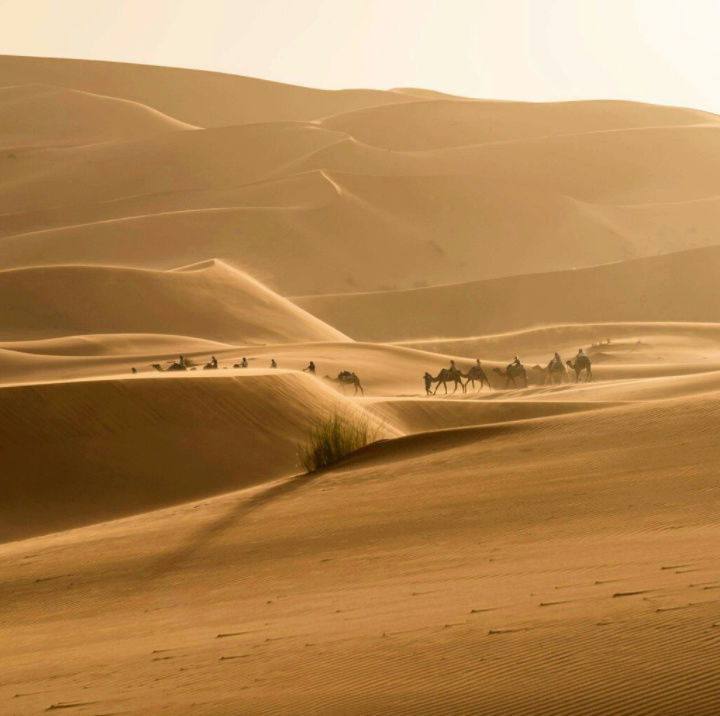 Le SAHARA, le plus grand désert du monde... - Page 3 Erg_ch13