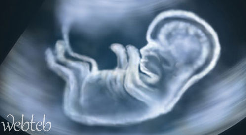 تحديد جنس الجنين, حقائق ومعتقدات Ximage19