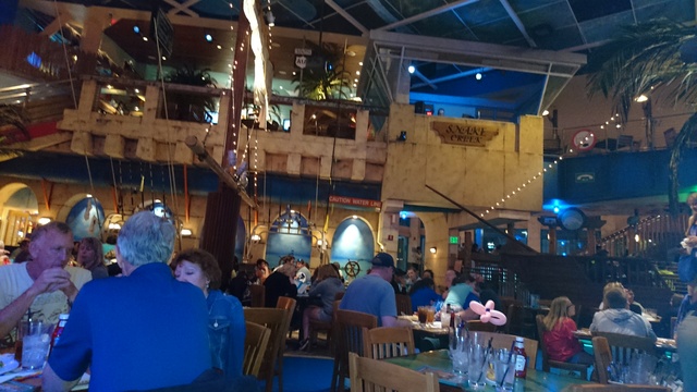 ºOº Día 5  ~ DESCARGAMOS ADRENALINA EN BUSCH GARDENS TAMPA - GUIA CULINARIA DE WALT DISNEY WORLD Y UNIVERSAL ORLANDO (57)