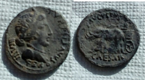 Denario de Augusto. AVGVSTVS CAESAR. Emperador en biga de elefantes a izq. Roma.  Image310