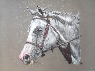 Arts et illustrations Cheval10